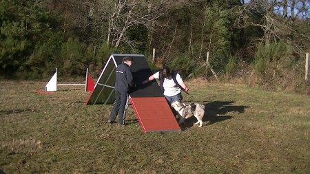 Le 29 décembre 2012 : Agility : La palissade