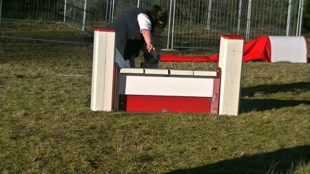 Le 29 décembre 2012 : Agility : Le saut