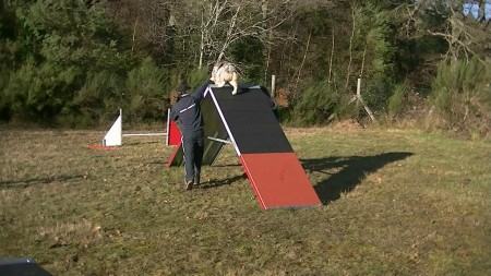 Le 29 décembre 2012 : Agility : La palissade