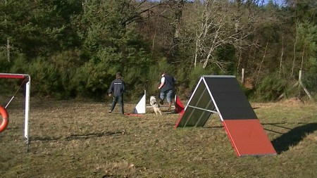 Le 29 décembre 2012 : Agility : Le saut