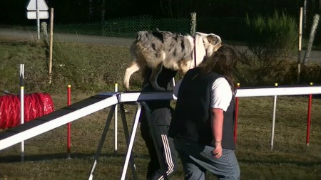 Le 29 décembre 2012 : Agility : La passerelle