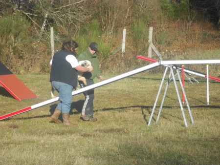 Le 29 décembre 2012 : Agility : La passerelle