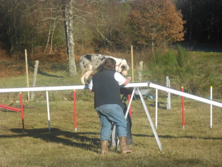 Le 29 décembre 2012 : Agility : La passerelle