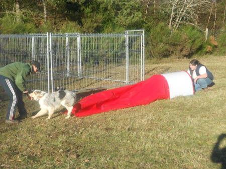 Le 29 décembre 2012 : Agility : Le tunnel souple