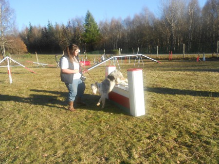 Le 29 décembre 2012 : Agility : Le saut