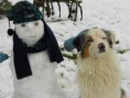 /album/moi-dans-la-neige/dscn0372-jpg/
